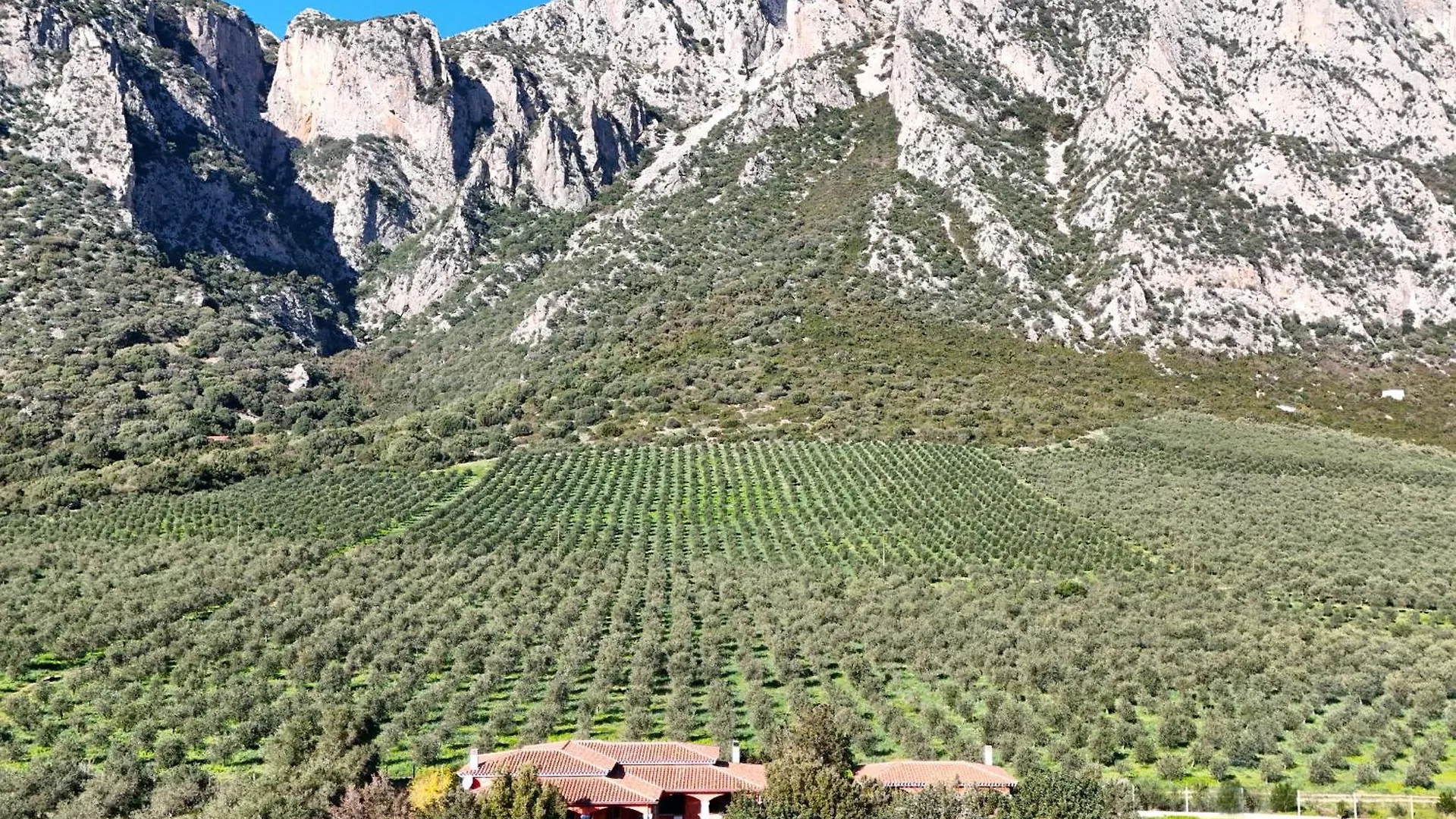 Villa With Stunning Views To The Mountains 5Km From The Beach Siniscola