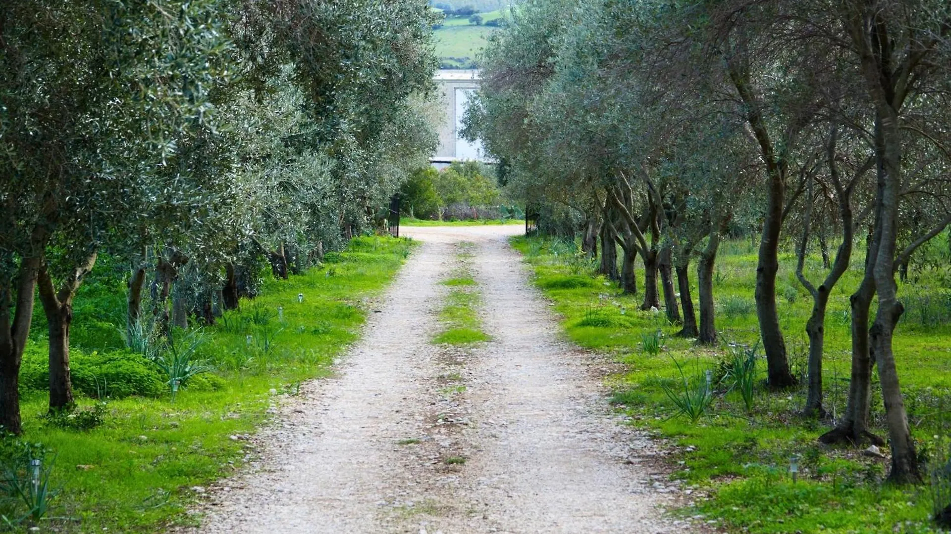 Villa With Stunning Views To The Mountains 5Km From The Beach Siniscola Italy